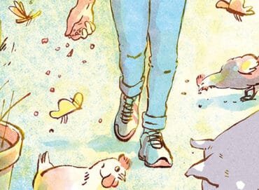 proteína de insetos na alimentação de suínos