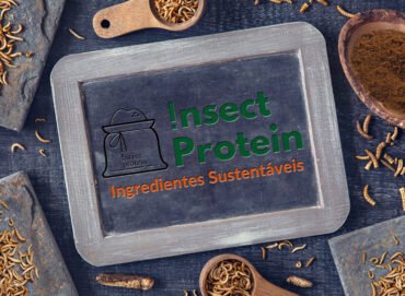 Produção de proteína de insetos em Campo Bom/RS