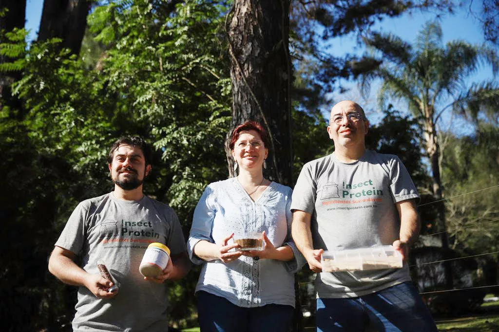 Praga do trigo, besouro é transformado em fertilizante e farinha para ração de animais