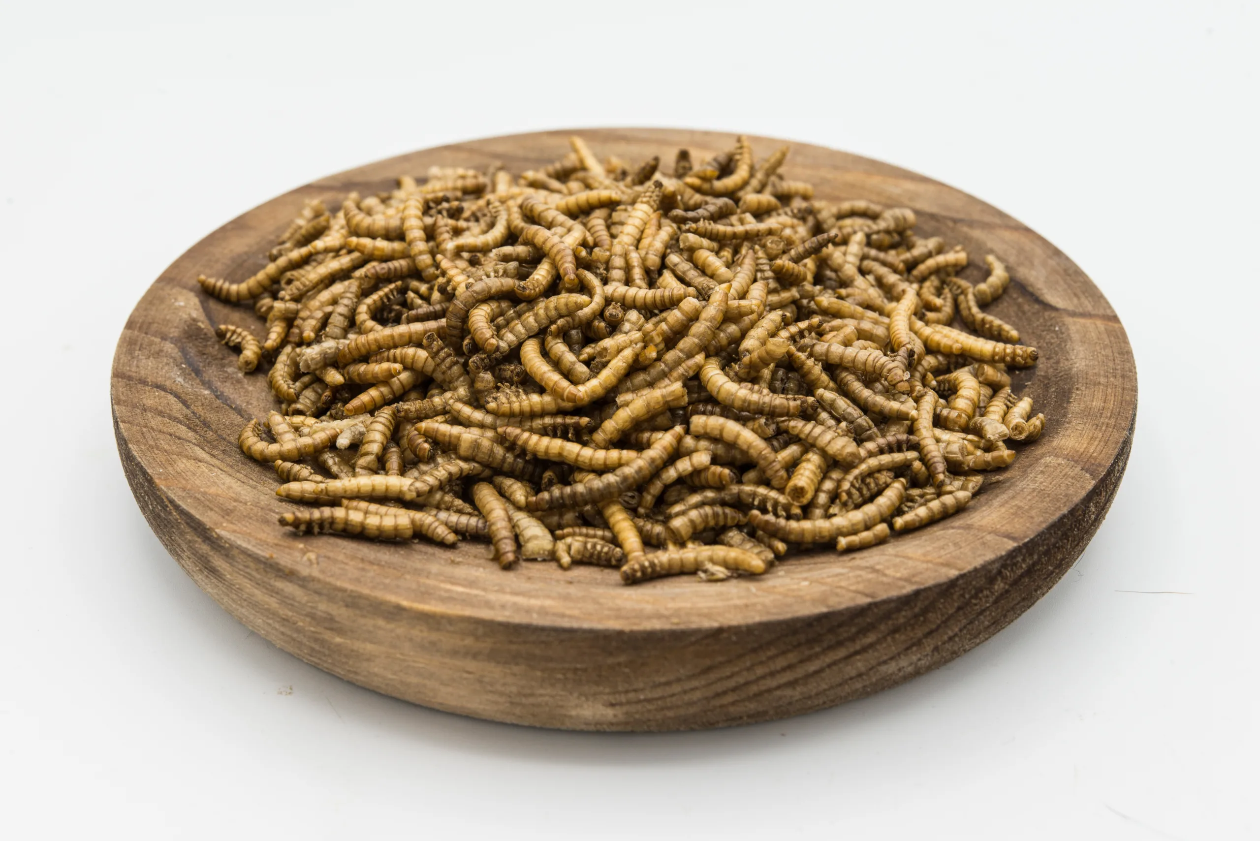 As farinhas de insetos além de boa fonte de proteína de alto valor biológico, também são boas fontes de lipídios.