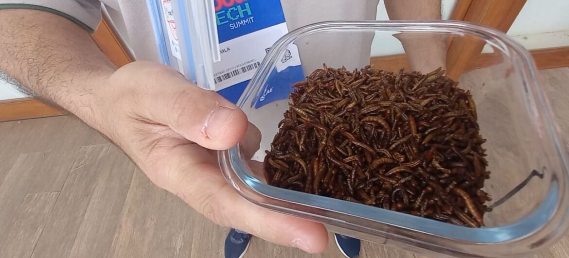 Foto: Elisangela Favaretto