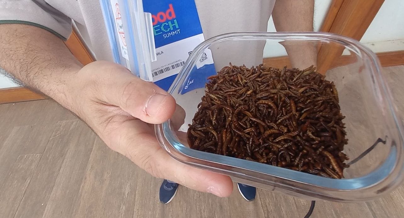 Foto: Elisangela Favaretto